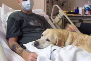 Animali domestici iAnimali domestici in ospedale in Emilia Romagna si puòspedale in Emilia Romagna si può