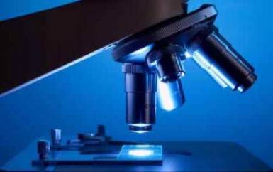 Stamina: la protesta delle famiglie dei pazienti “Non ci muoviamo da qui!”