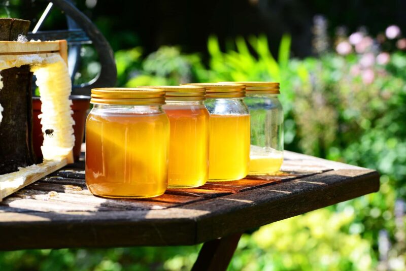 curiosità alimentari