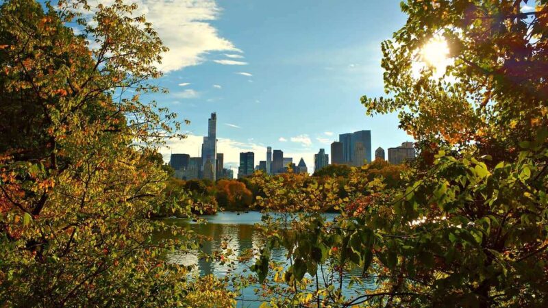 Cosa fare in autunno a New York