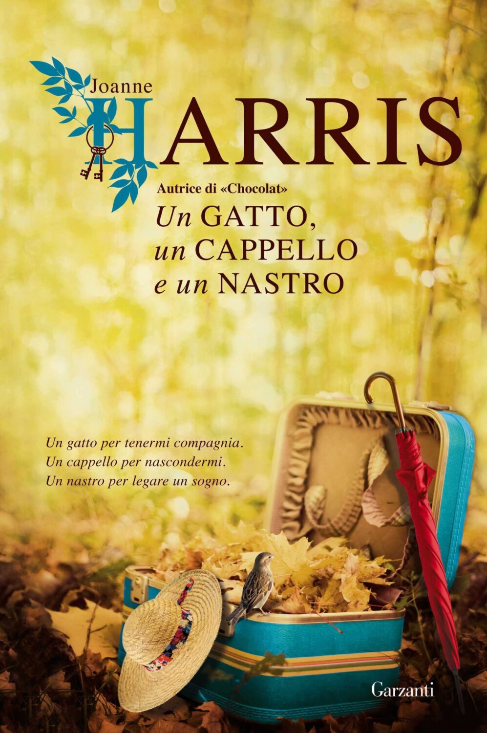 Un nastro, un gatto, un cappello