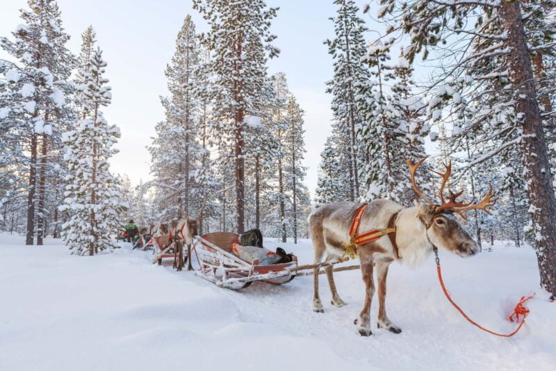 curiosità sulla finlandia