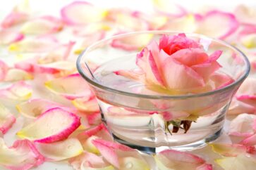 acqua alle rose