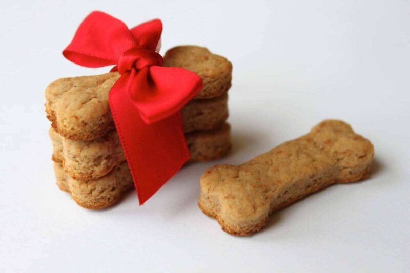 biscotti per cani