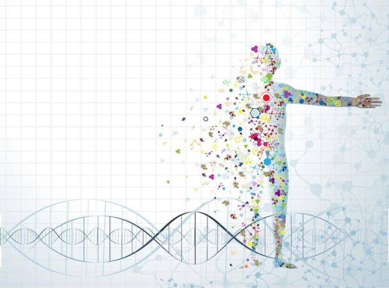 Accertamento della paternità e rifiuto ingiustificato di sottoporsi all’esame del dna