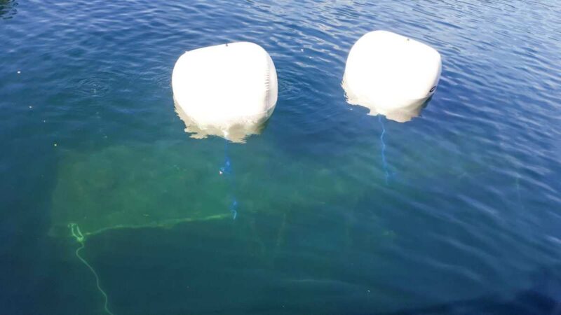 Lavori Subacquei Recuperi marini technosub