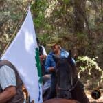 Passeggiata a cavallo Calambrone