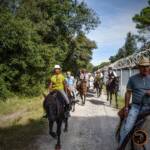 Passeggiata a cavallo Calambrone