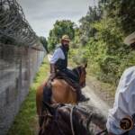 Passeggiata a cavallo Calambrone