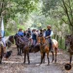 Passeggiata a cavallo Calambrone