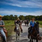 Passeggiata a cavallo Calambrone