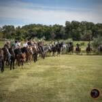 Passeggiata a cavallo Calambrone