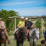 Passeggiata a cavallo Calambrone