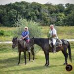Passeggiata a cavallo Calambrone