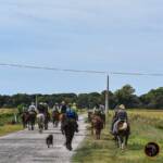 Passeggiata a cavallo Calambrone