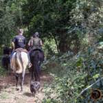 Passeggiata a cavallo Calambrone
