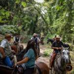 Passeggiata a cavallo Calambrone
