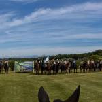 Passeggiata a cavallo Calambrone