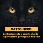 gatto nero