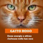 gatto rosso