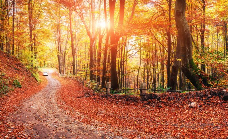 mabon solstizio autunnale