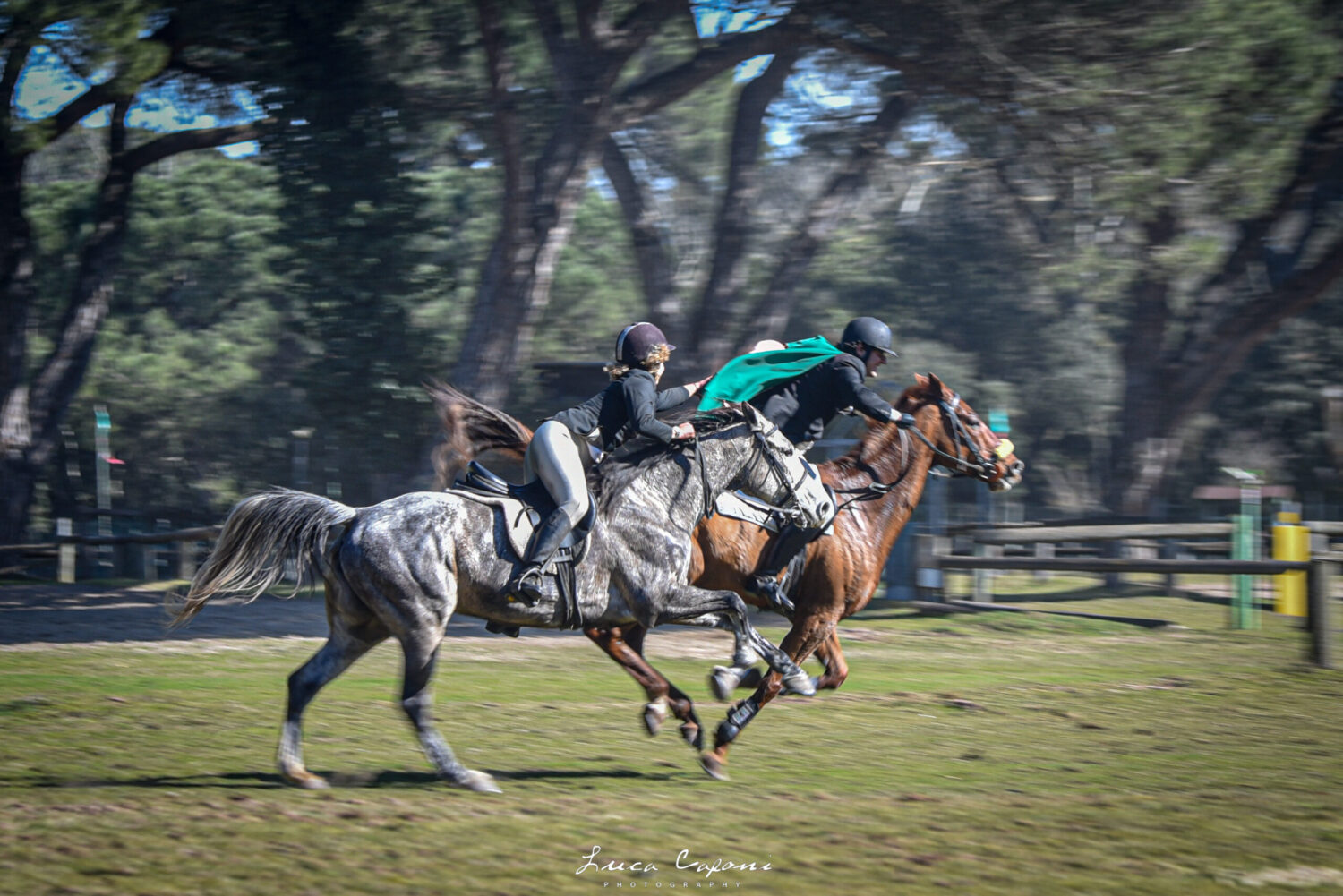 Caccia alla volpe simulata