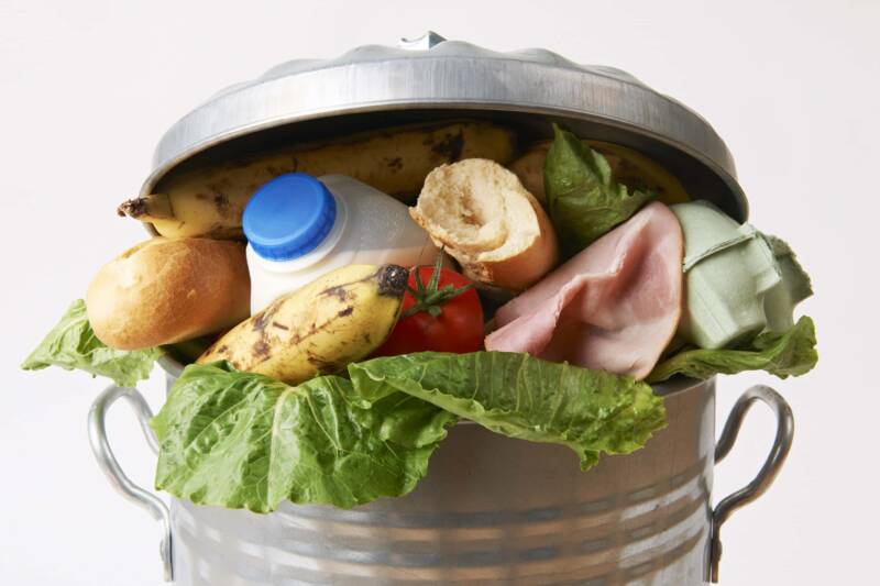 Foodbusters: i cacciatori di cibo, come ridurre lo spreco alimentare cibo gettato spreco alimentare foodbuster