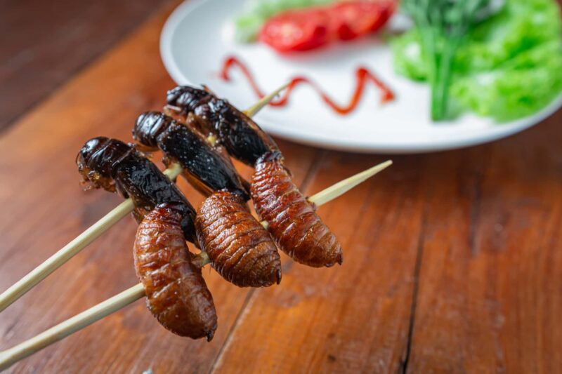 cibi schifosi cibi strani insetti da mangiare