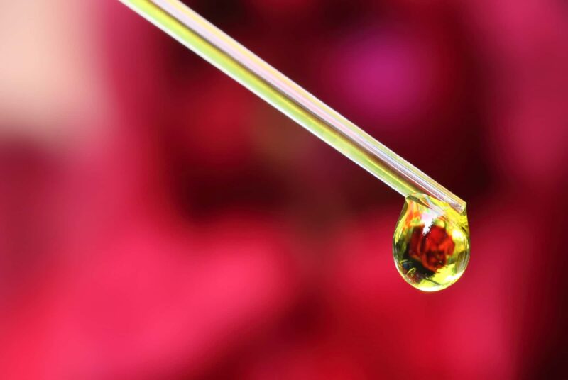 Perchè gli oli essenziali fanno male in gravidanza? oli essenziali in gravidanza