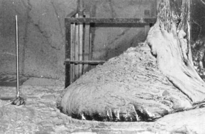 zampa di elefante 800x525 - I minatori di Chernobyl sono morti? Curiosità sul disastro nucleare