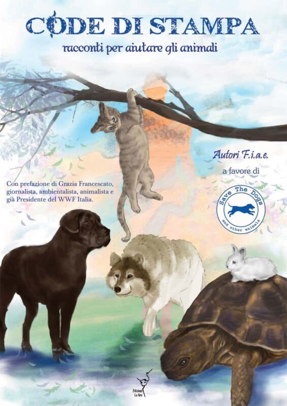 copertina Code di Stampa