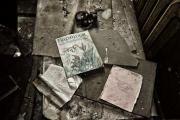 Chernobyl libri e interviste