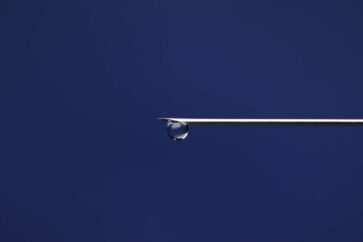 paura degli aghi - Belonefobia