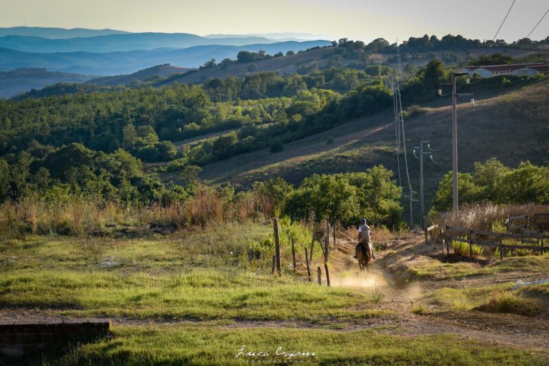 montemerano