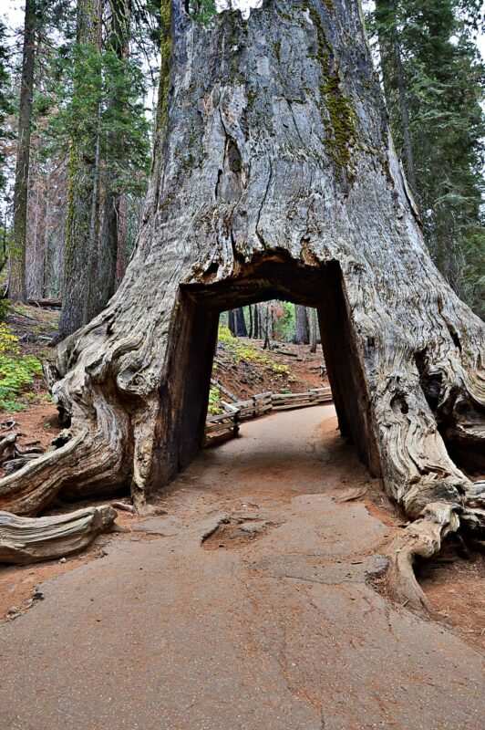 park Yosemite