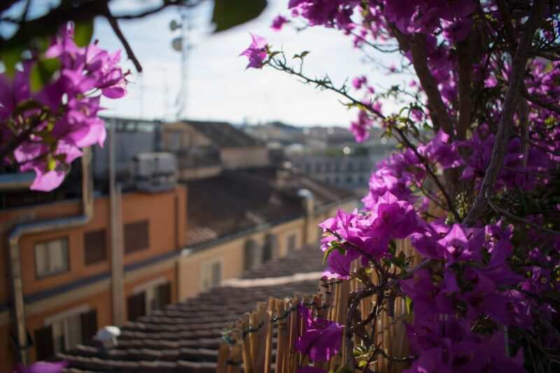 come rendere accogliente il proprio terrazzo fiori Come rendere accogliente il proprio terrazzo