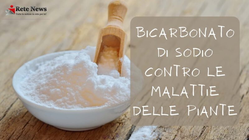 bicarbonato di sodio usi