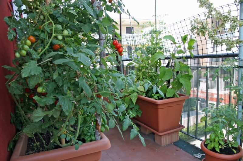 orto sul balcone