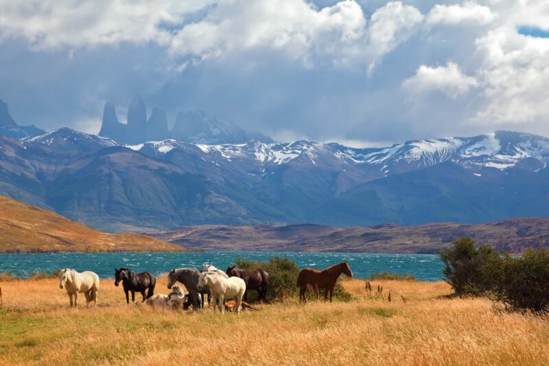 patagonia sud america
