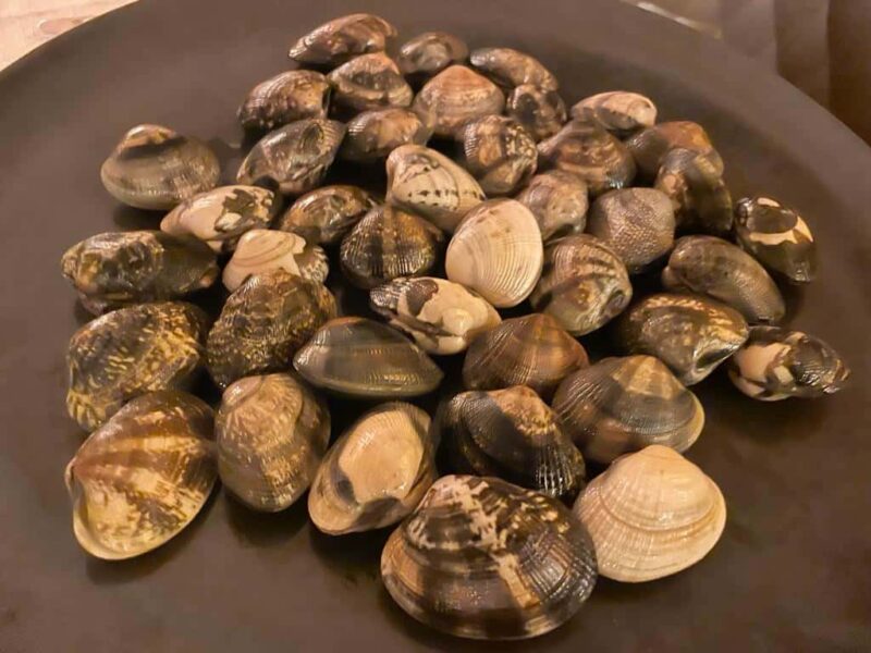 pasta alle vongole