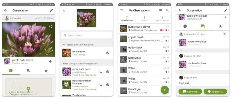 iNaturalist app per riconoscere le piante
