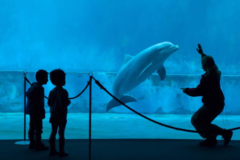 Acquario di Genova