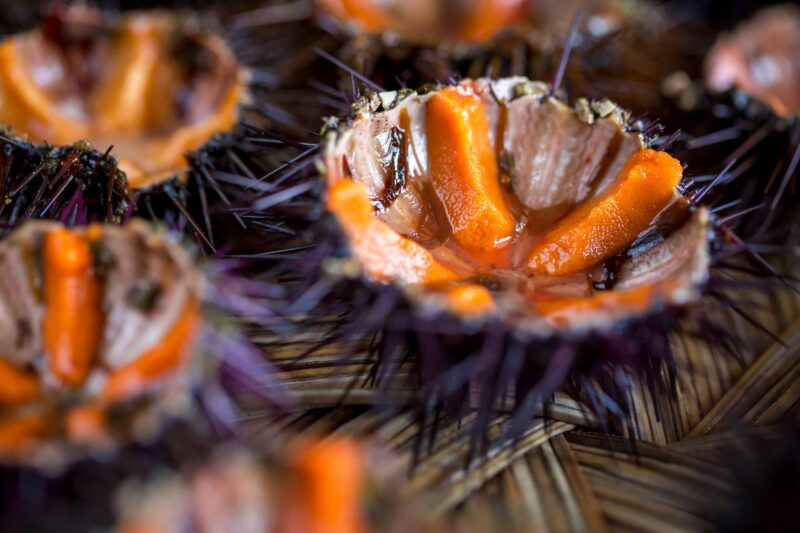 ricci di mare come mangiarli