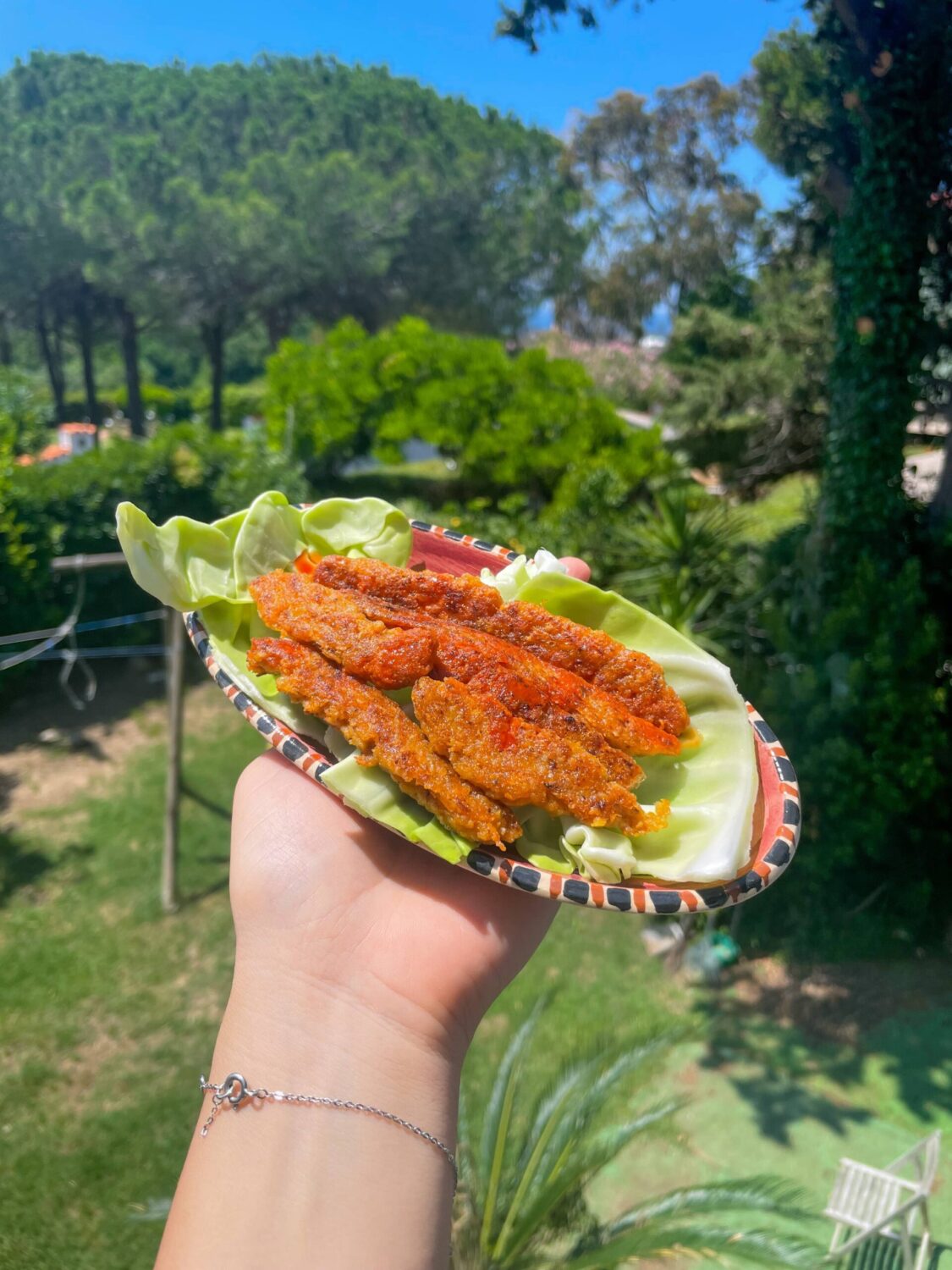 FINTA CARNE VEGANA ALL'AVENA