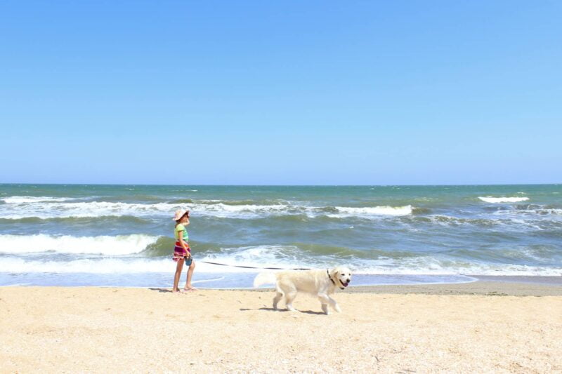 vacanze al mare con il cane