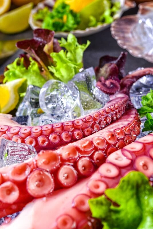 mangiare il polpo crudo