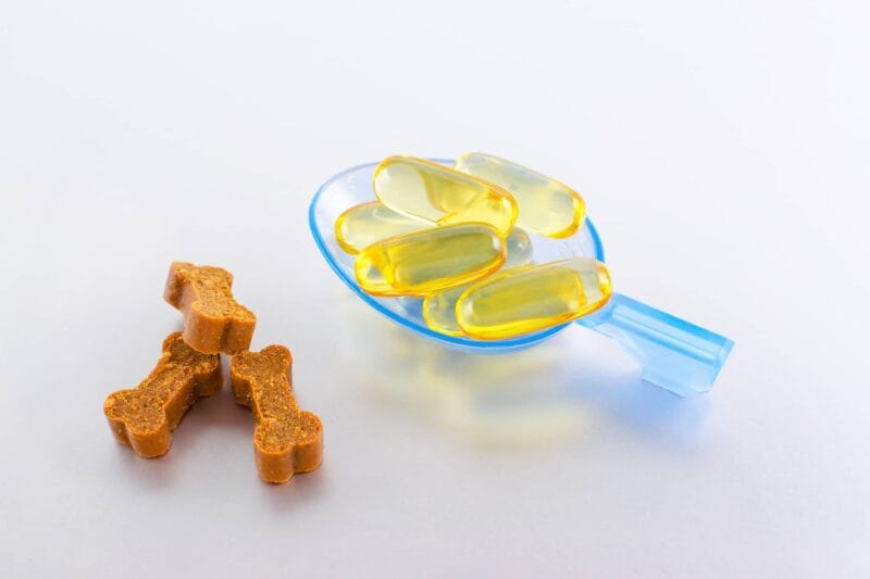 olio di fegato di merluzzo per animali domestici