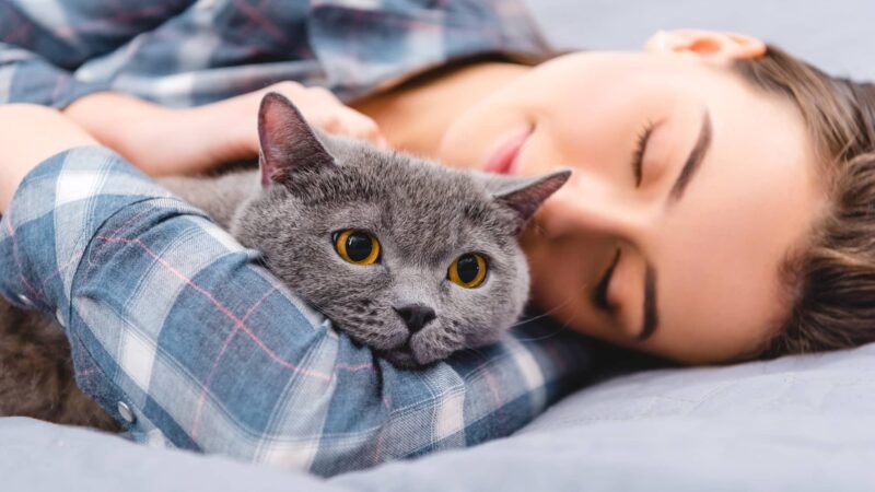Dormire con il gatto