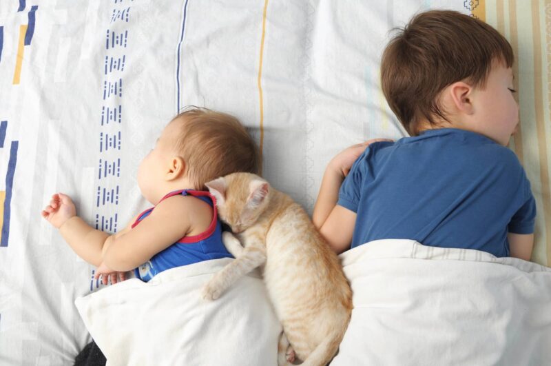Far dormire i bambini con i gatti, un mito da sfatare