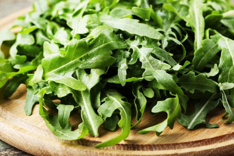 rucola